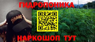 ПСИЛОЦИБИНОВЫЕ ГРИБЫ Кинель