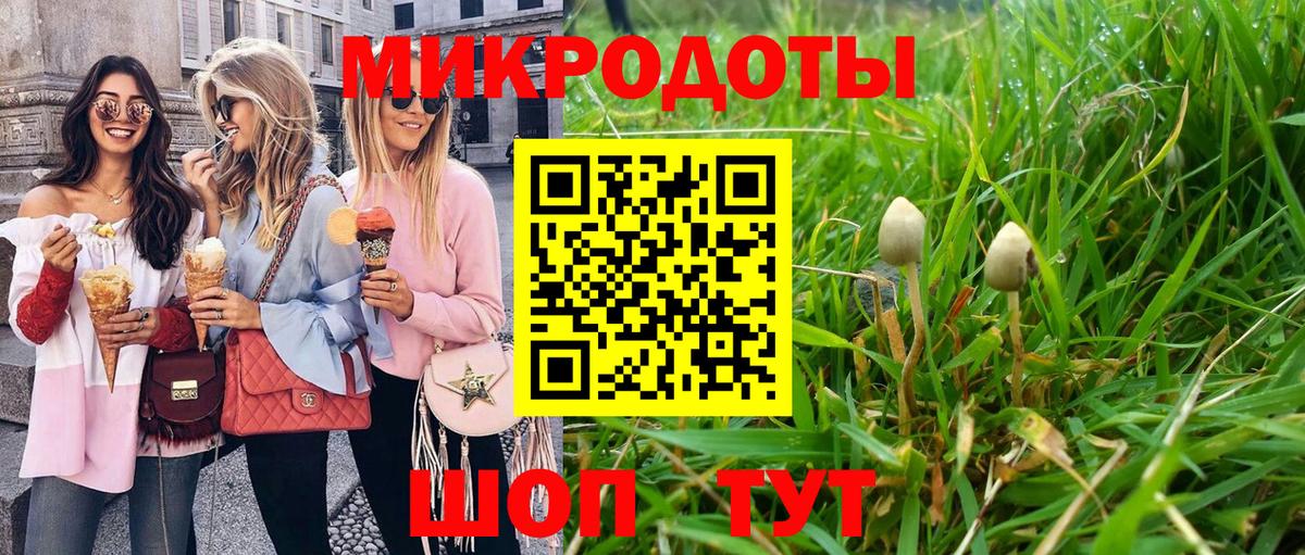 Галлюциногенные грибы Cubensis Балтийск