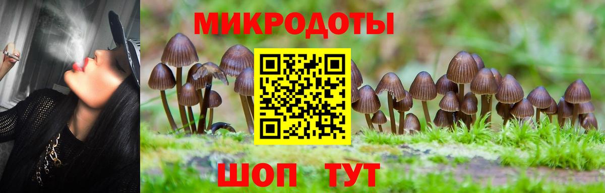 Балтийск  купить  сайты  Вход с VPN  Галлюциногенные грибы мухоморы 